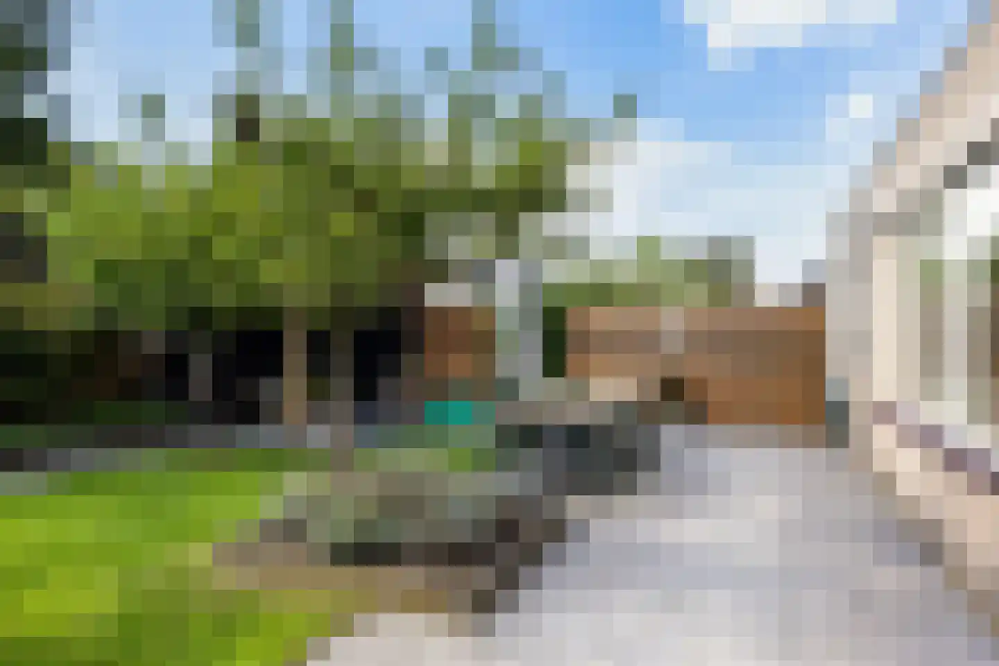 De Tol 55 Apeldoorn thumbnail 34