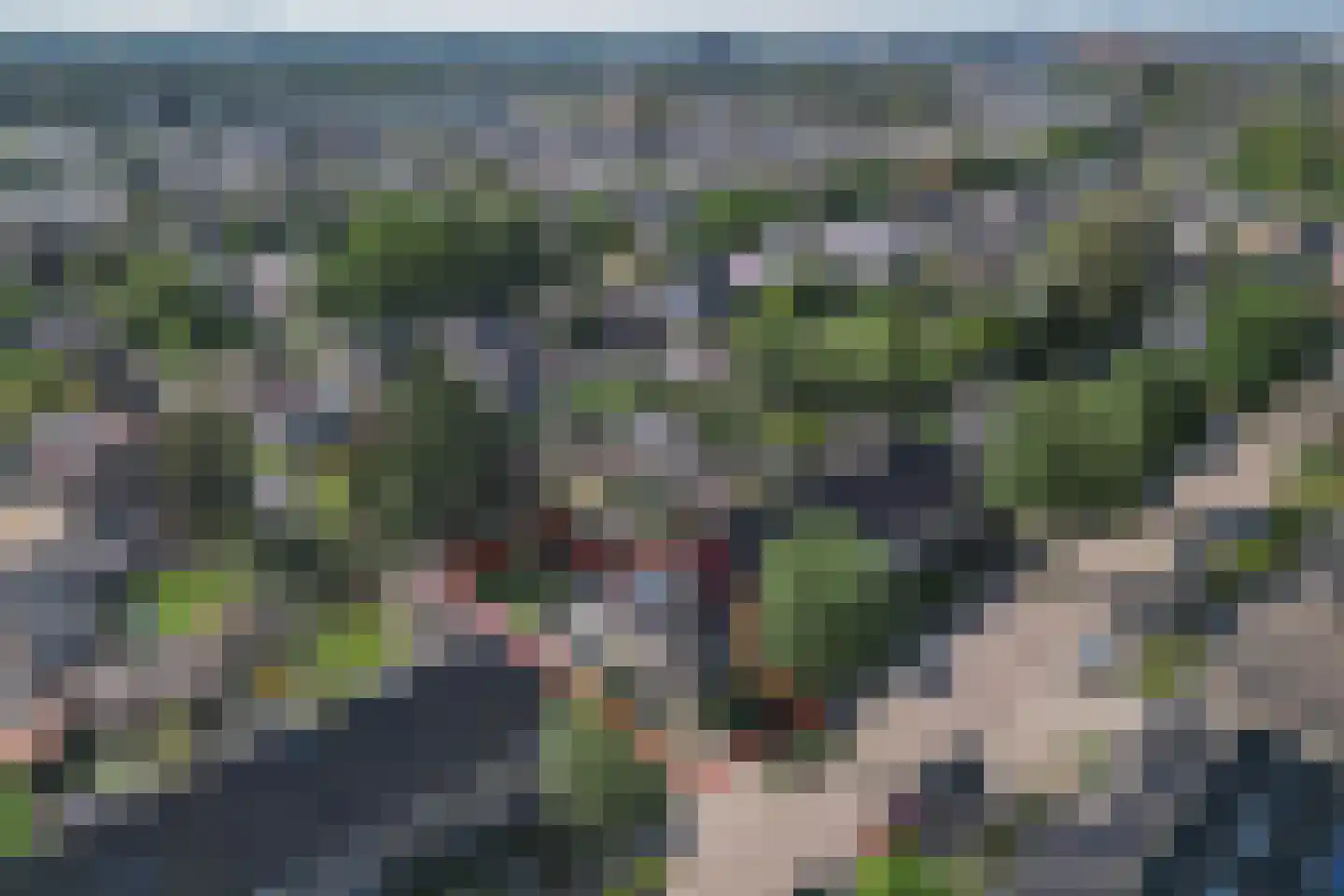 De Tol 55 Apeldoorn thumbnail 40
