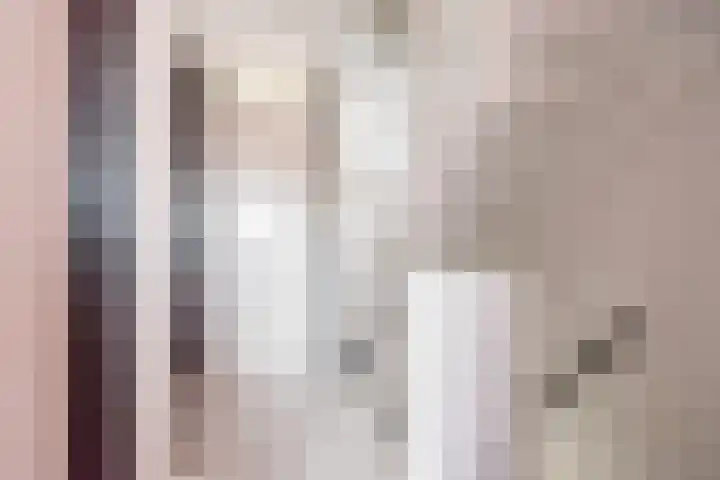 De Tol 61 Dinxperlo thumbnail 20