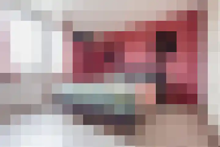 De Tol 61 Dinxperlo thumbnail 26