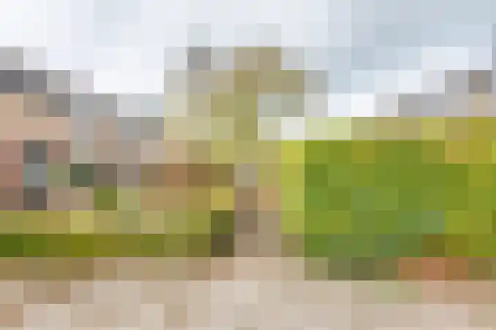 De Tol 61 Dinxperlo thumbnail 40
