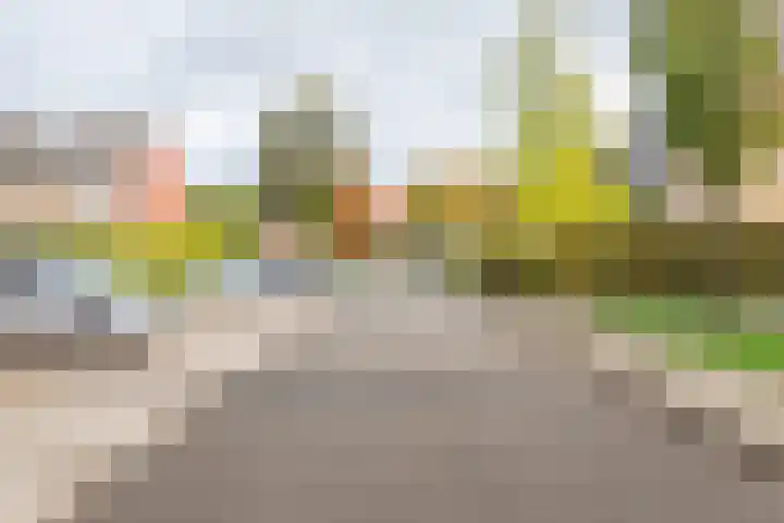 De Tol 61 Dinxperlo thumbnail 41
