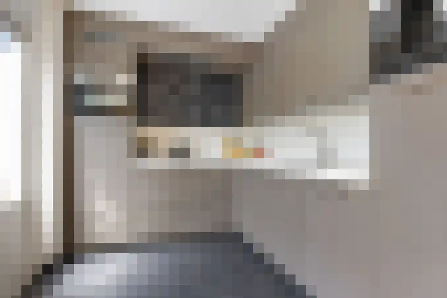 De Tol 7 Woudenberg thumbnail 11