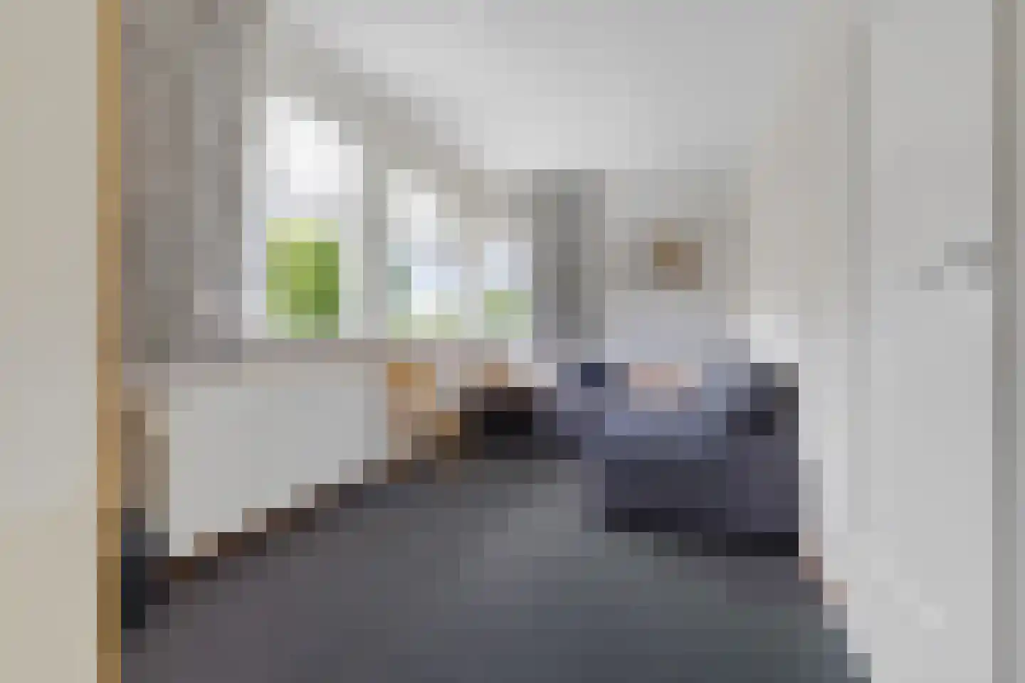 De Tol 7 Woudenberg thumbnail 19