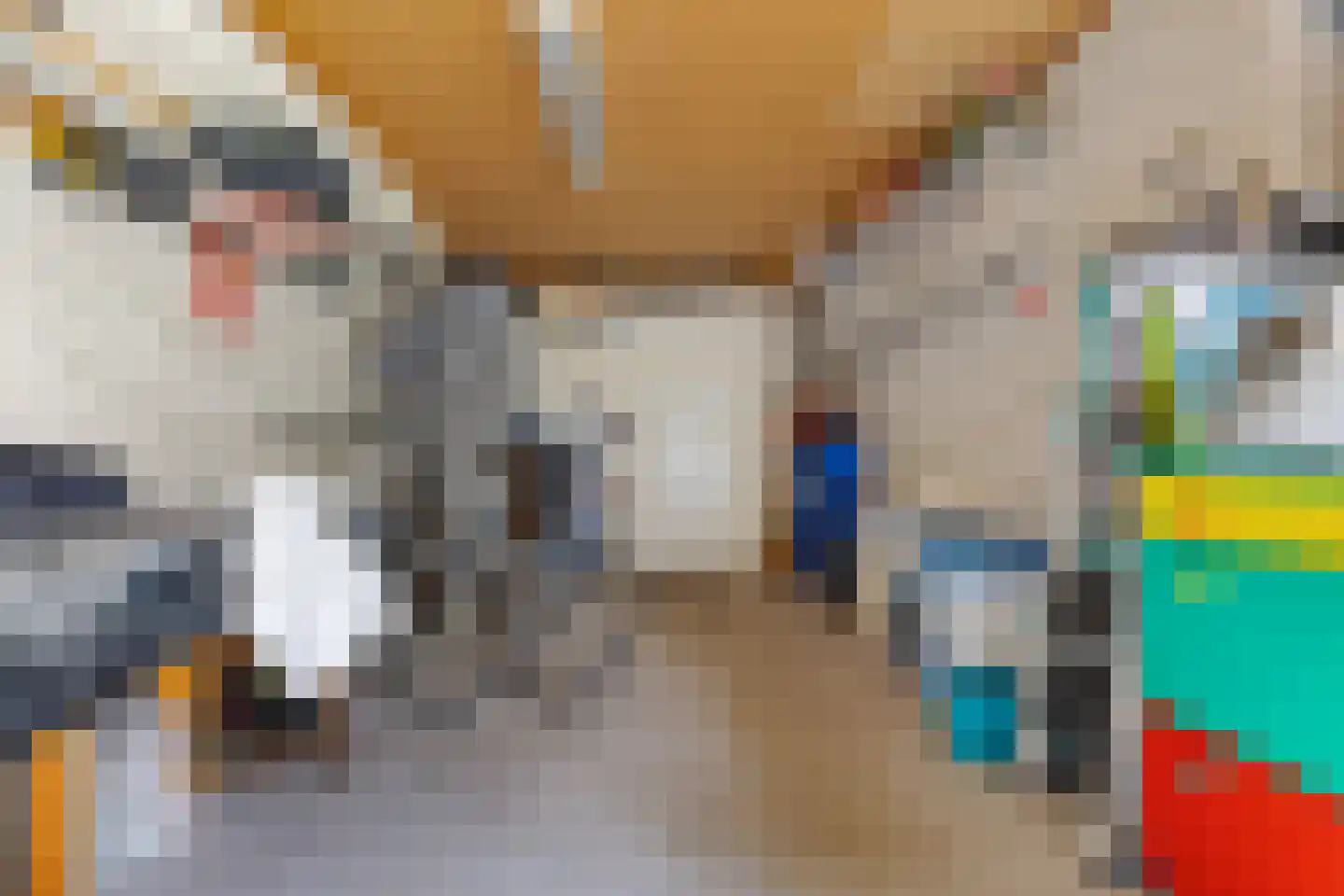 De Tol 7 Woudenberg thumbnail 27