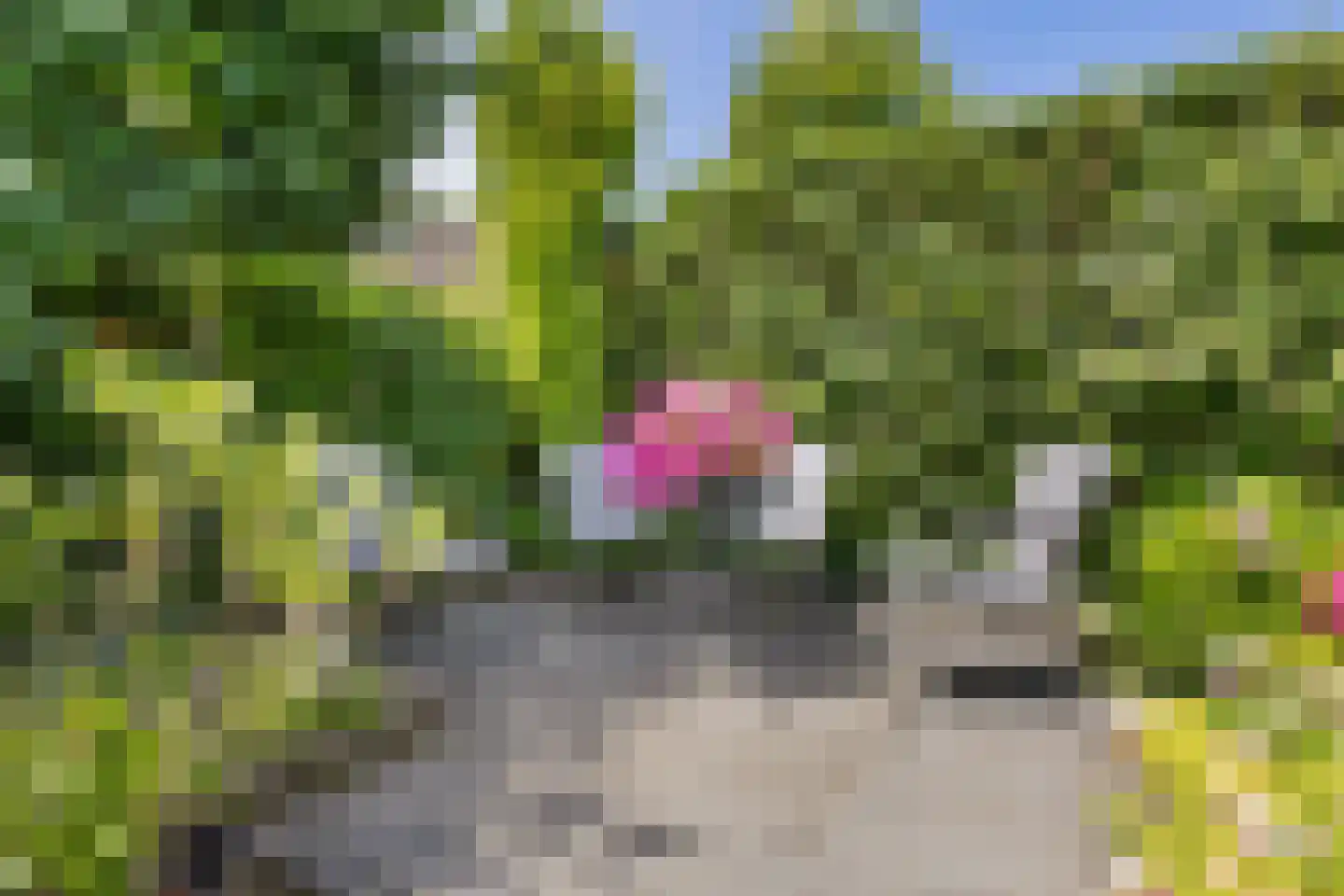 De Tol 7 Woudenberg thumbnail 29