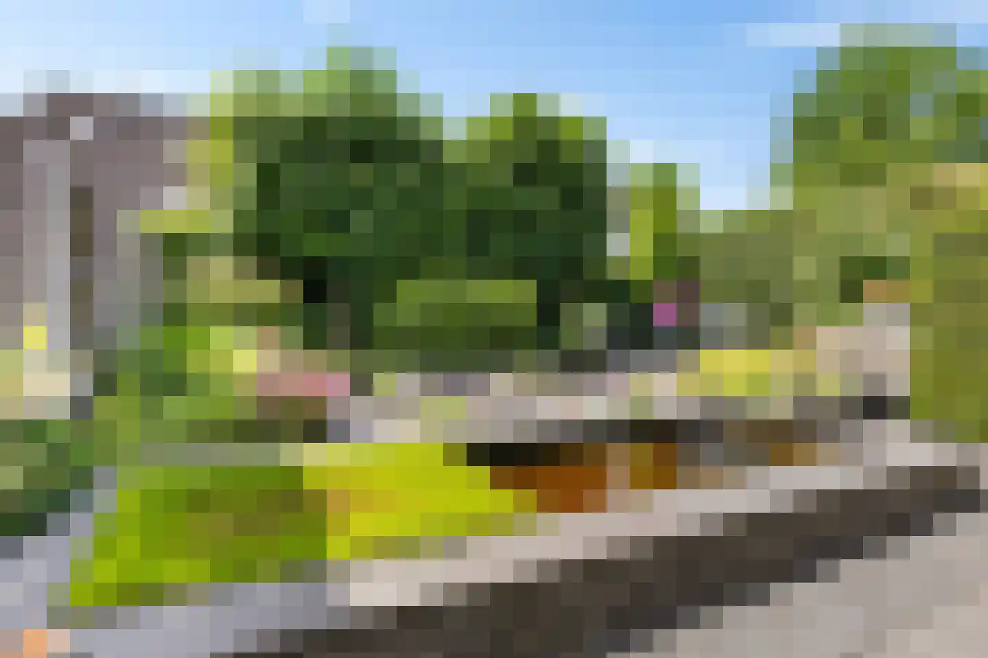 De Tol 7 Woudenberg thumbnail 33
