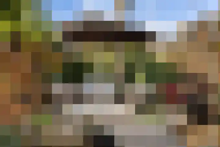 De Tol 97 Apeldoorn thumbnail 28