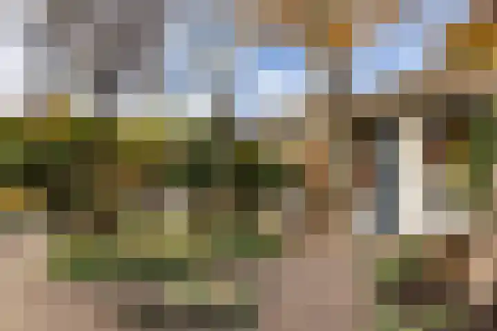De Tol 97 Apeldoorn thumbnail 29
