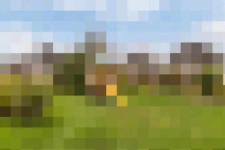 De Tol 97 Apeldoorn thumbnail 31