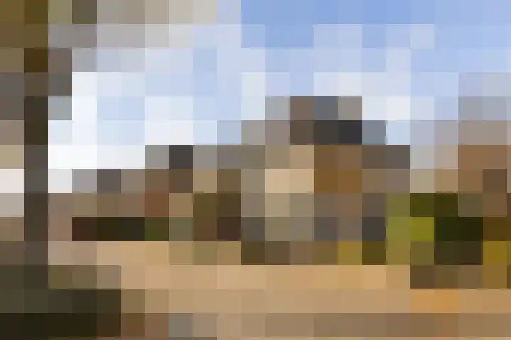 De Tol 97 Apeldoorn thumbnail 32