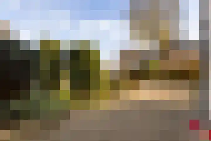 De Tol 97 Apeldoorn thumbnail 34