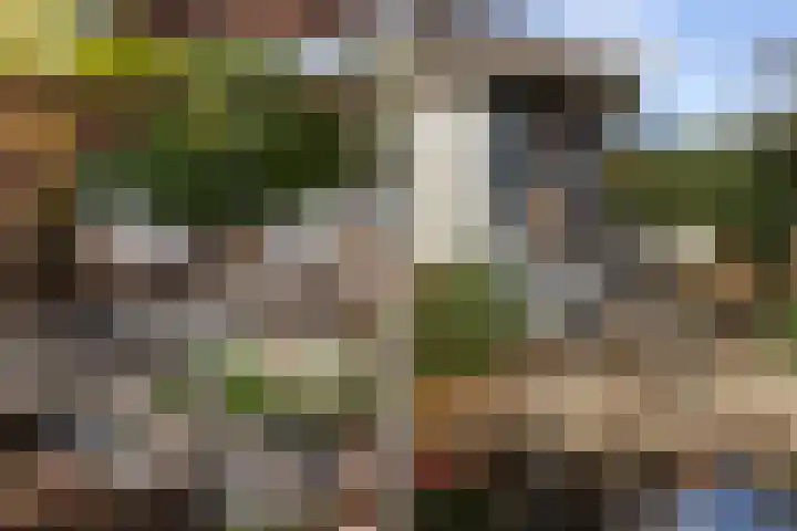 De Tol 97 Apeldoorn thumbnail 5