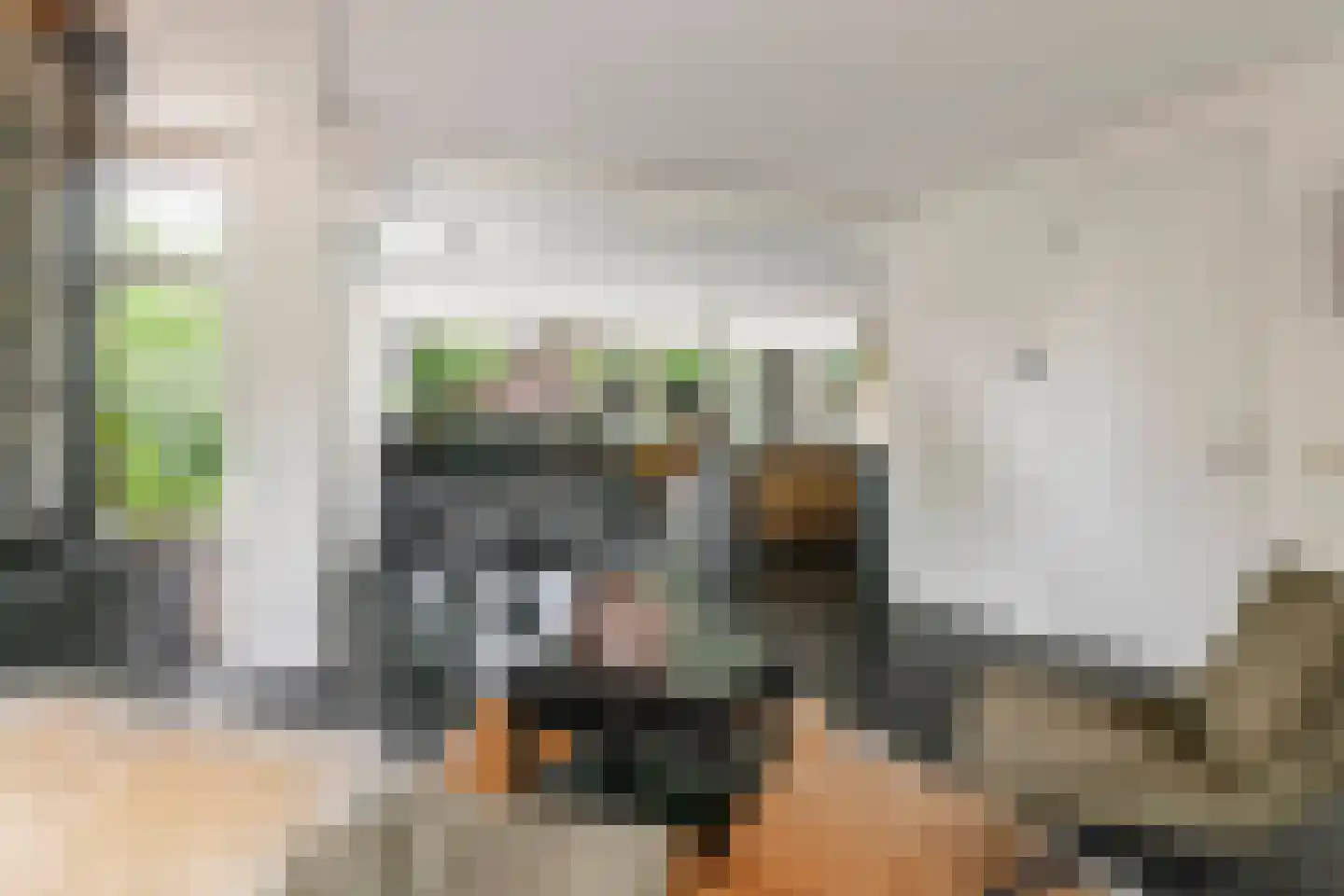 De Tolboom 15 Afferden thumbnail 12