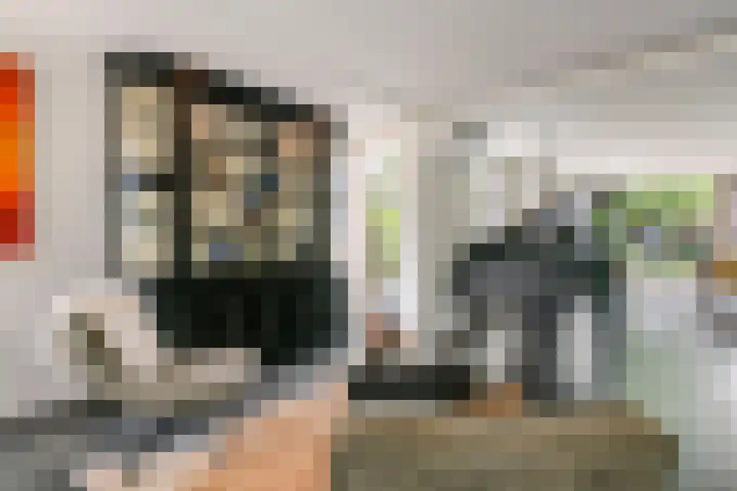 De Tolboom 15 Afferden thumbnail 13