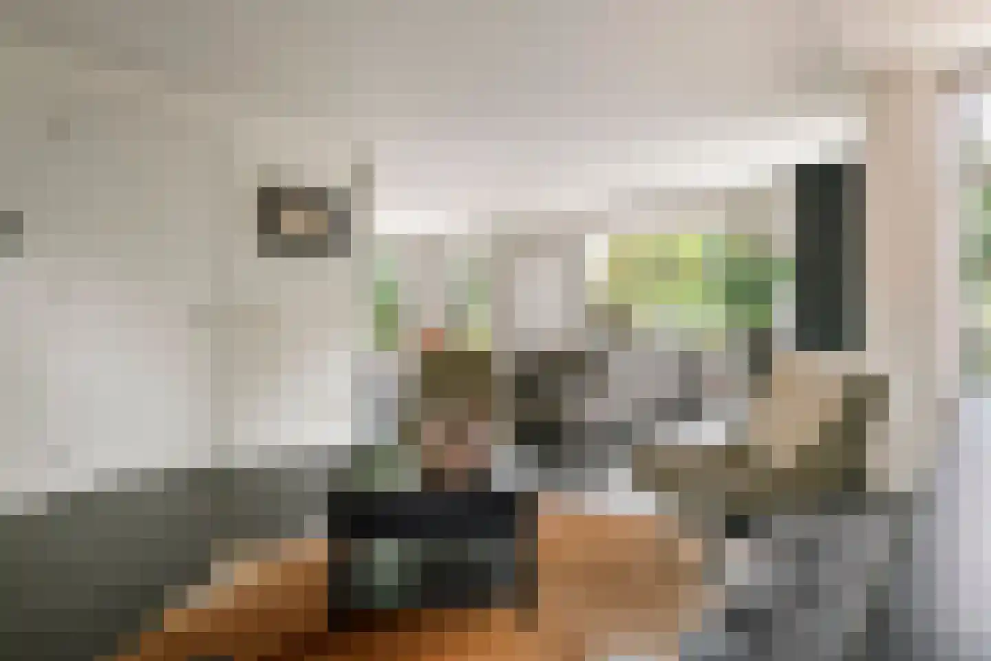 De Tolboom 15 Afferden thumbnail 14