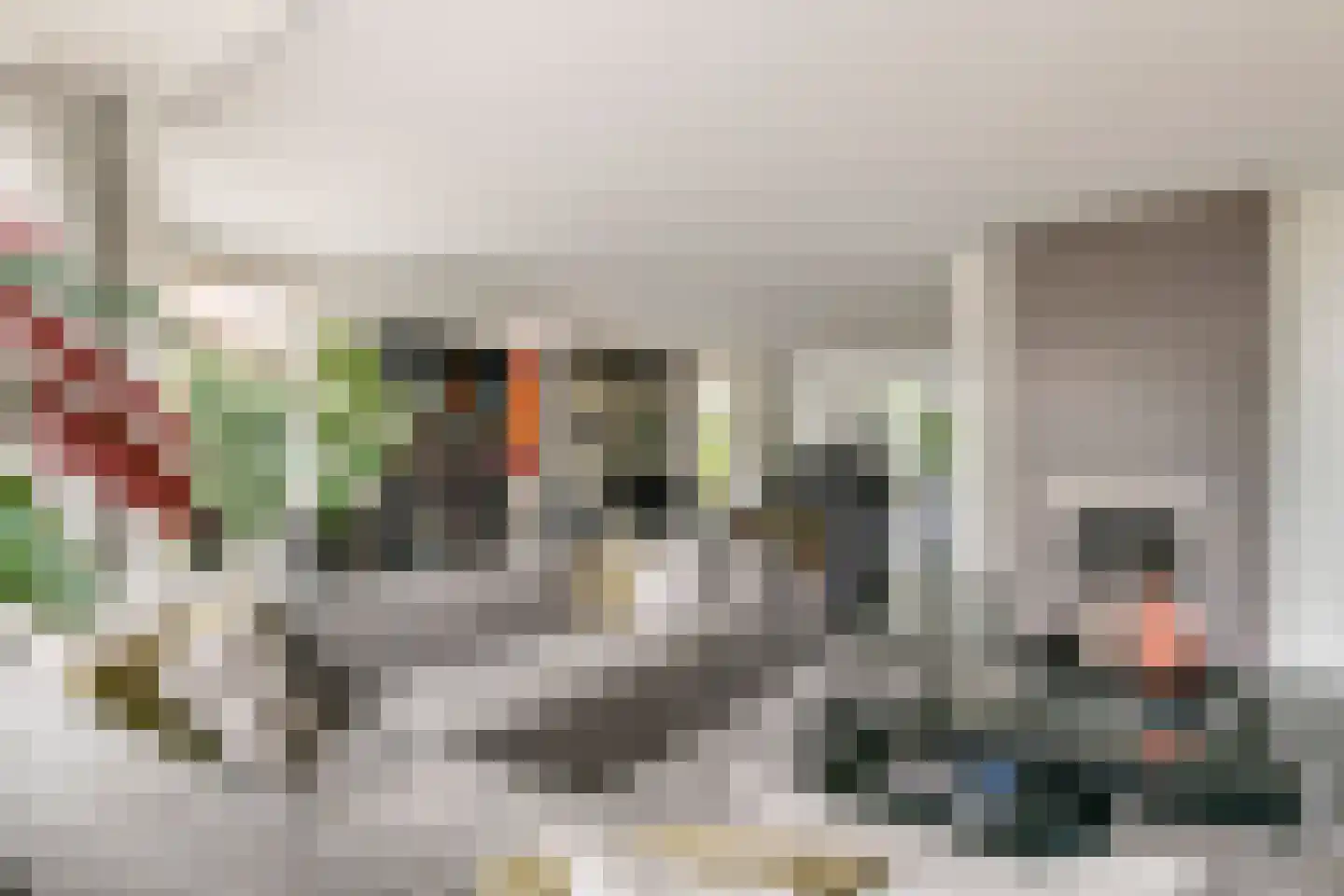 De Tolboom 15 Afferden thumbnail 18
