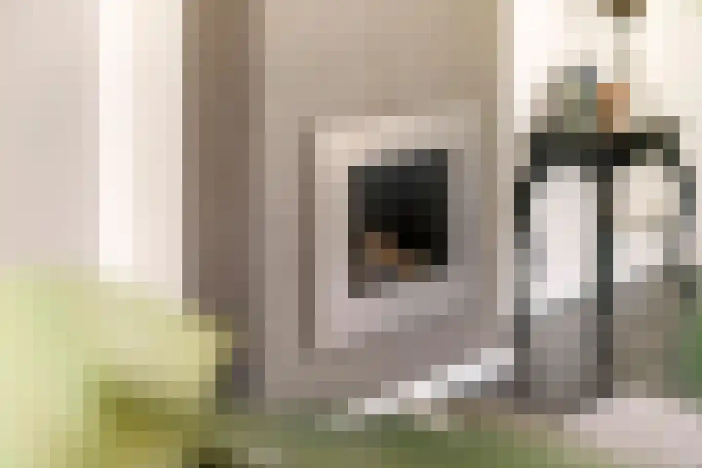 De Tolboom 15 Afferden thumbnail 19