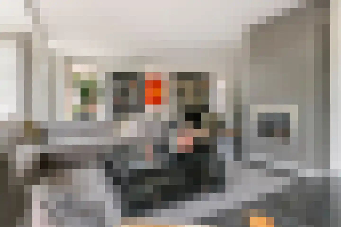 De Tolboom 15 Afferden thumbnail 21