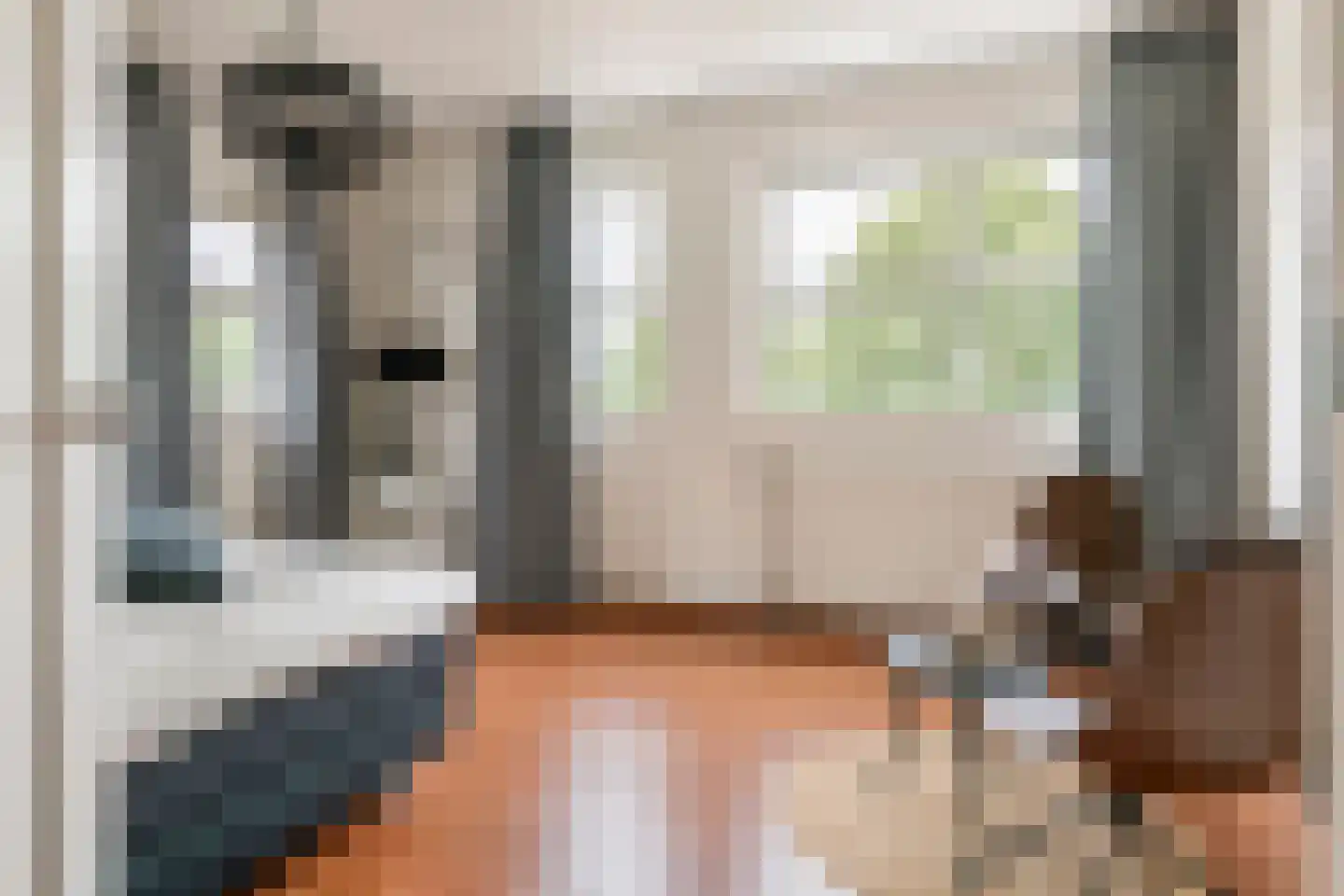De Tolboom 15 Afferden thumbnail 29