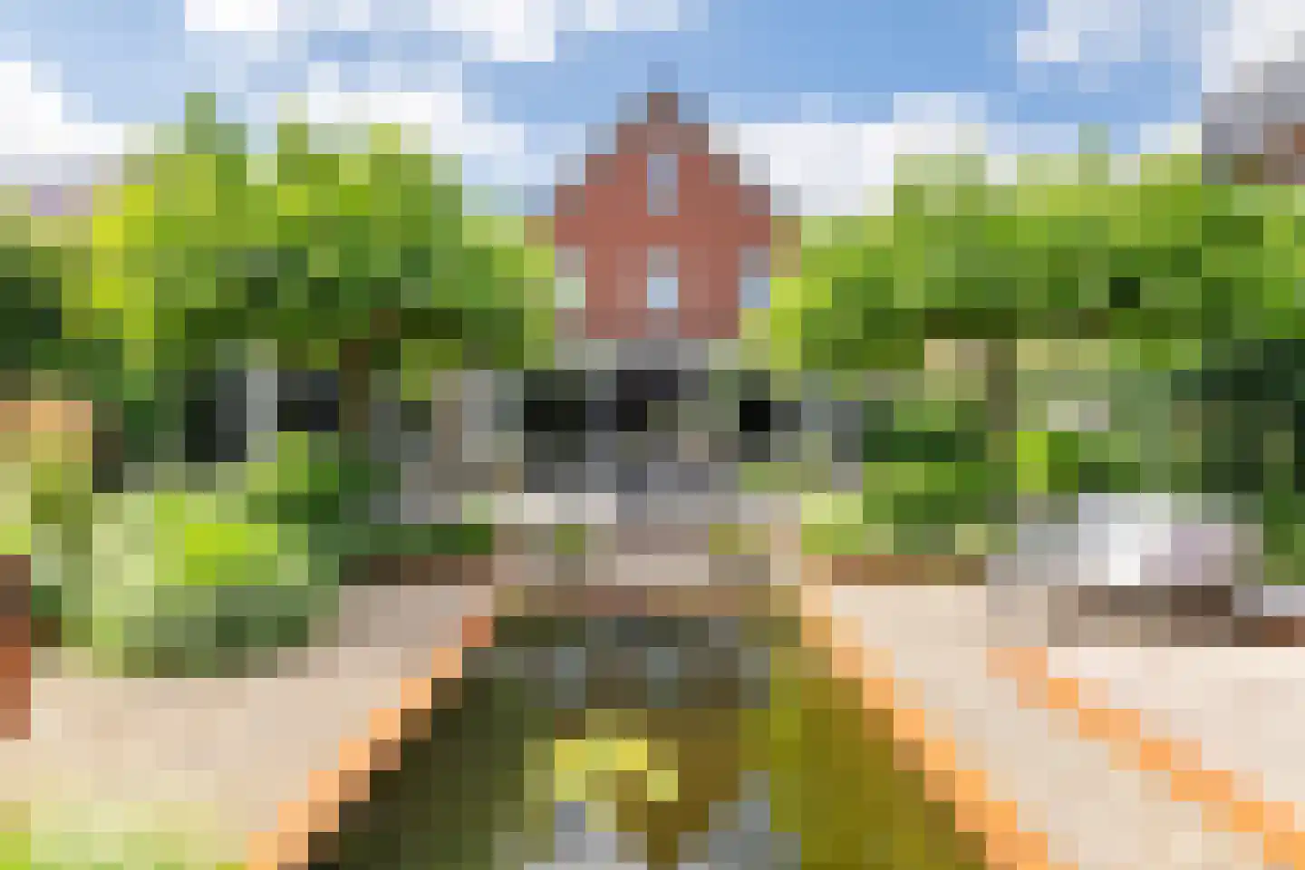 De Tolboom 15 Afferden foto 3