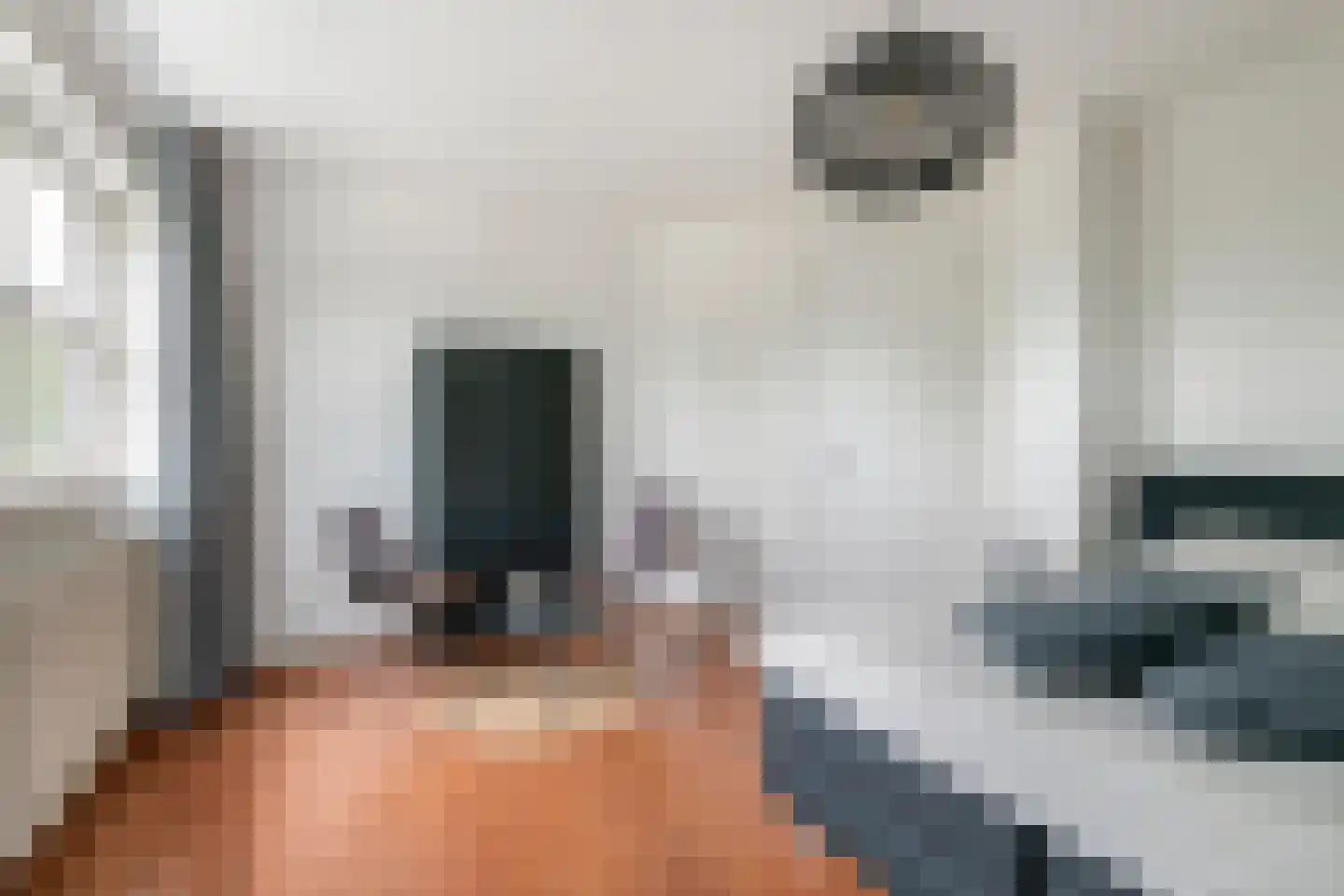 De Tolboom 15 Afferden thumbnail 30