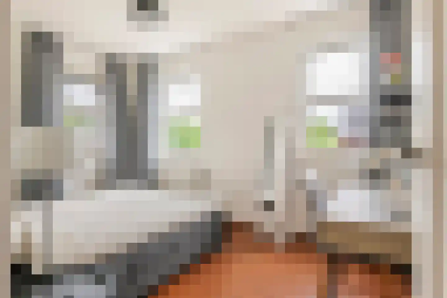 De Tolboom 15 Afferden thumbnail 33