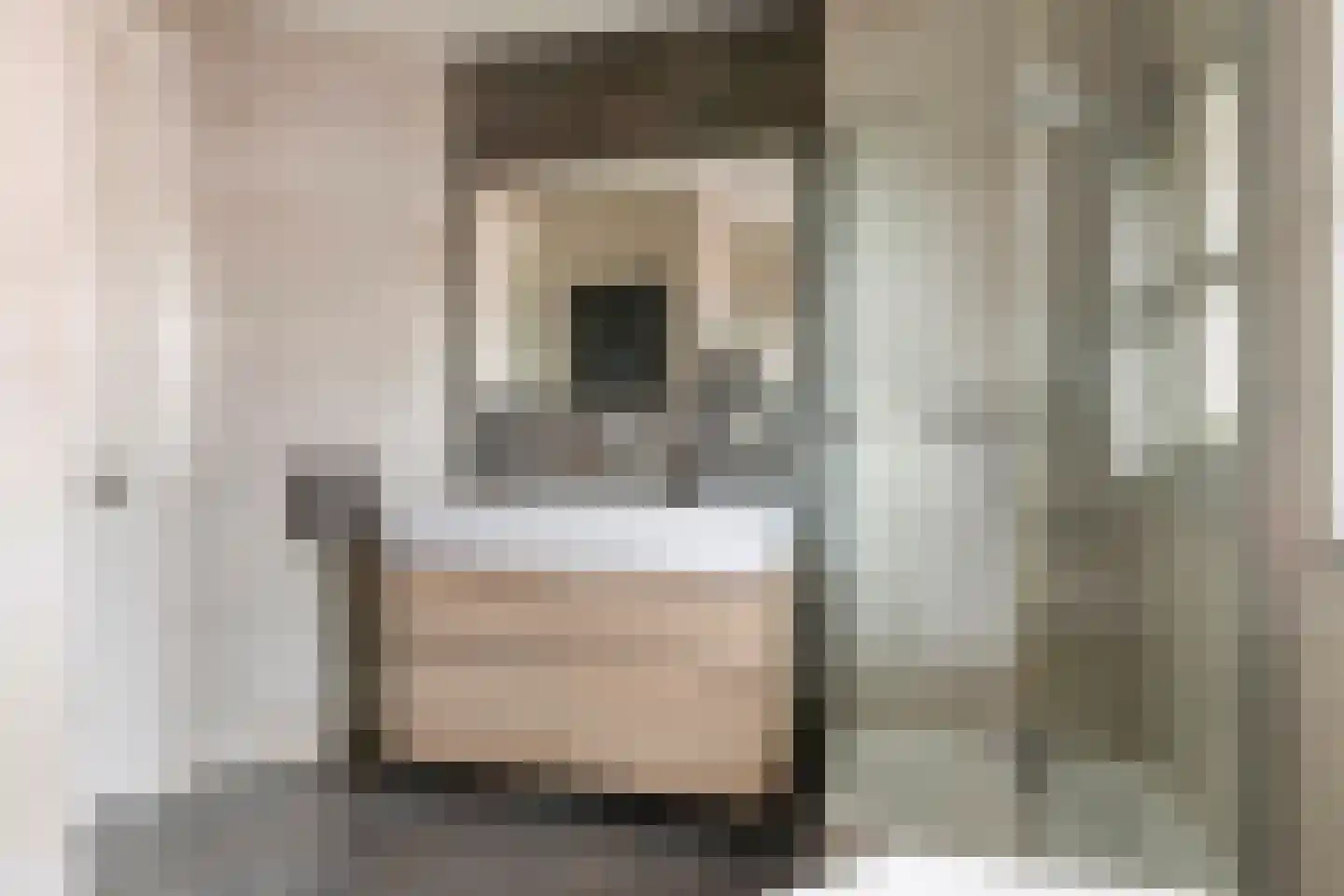De Tolboom 15 Afferden thumbnail 41