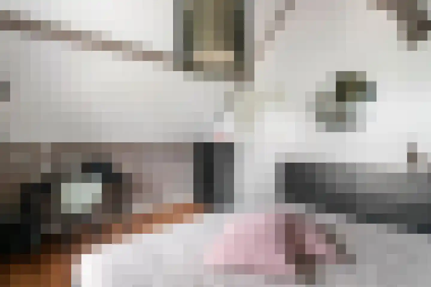 De Tolboom 15 Afferden thumbnail 48