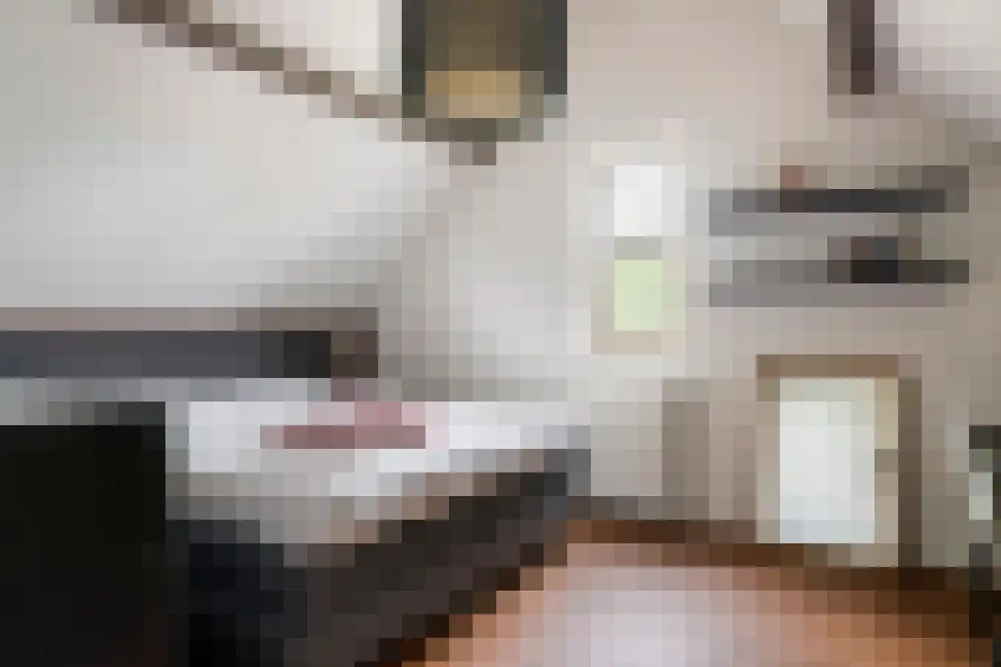 De Tolboom 15 Afferden thumbnail 50