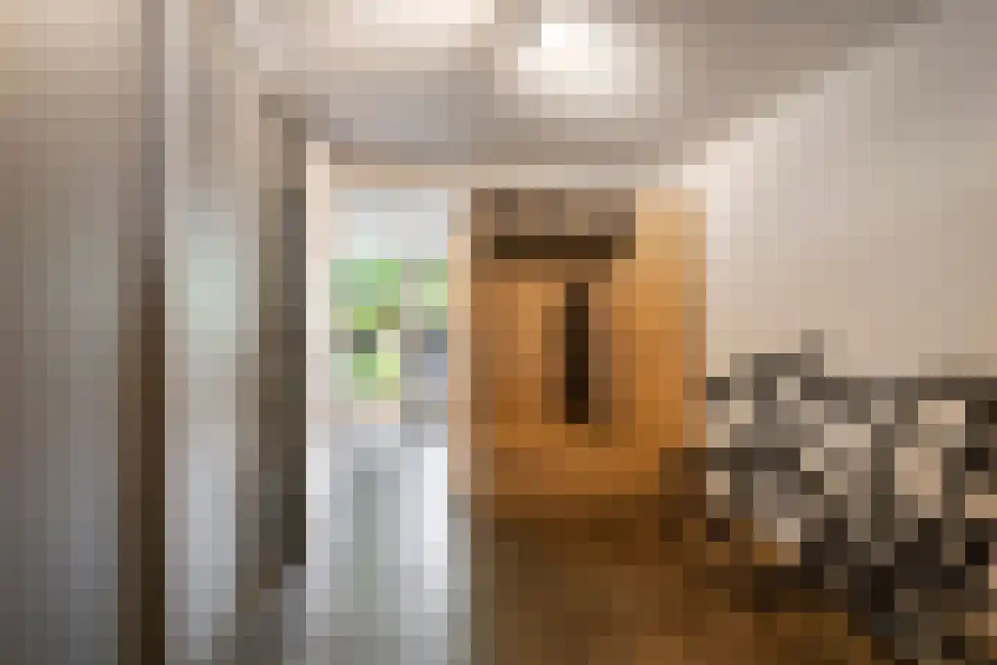 De Tolboom 15 Afferden thumbnail 54