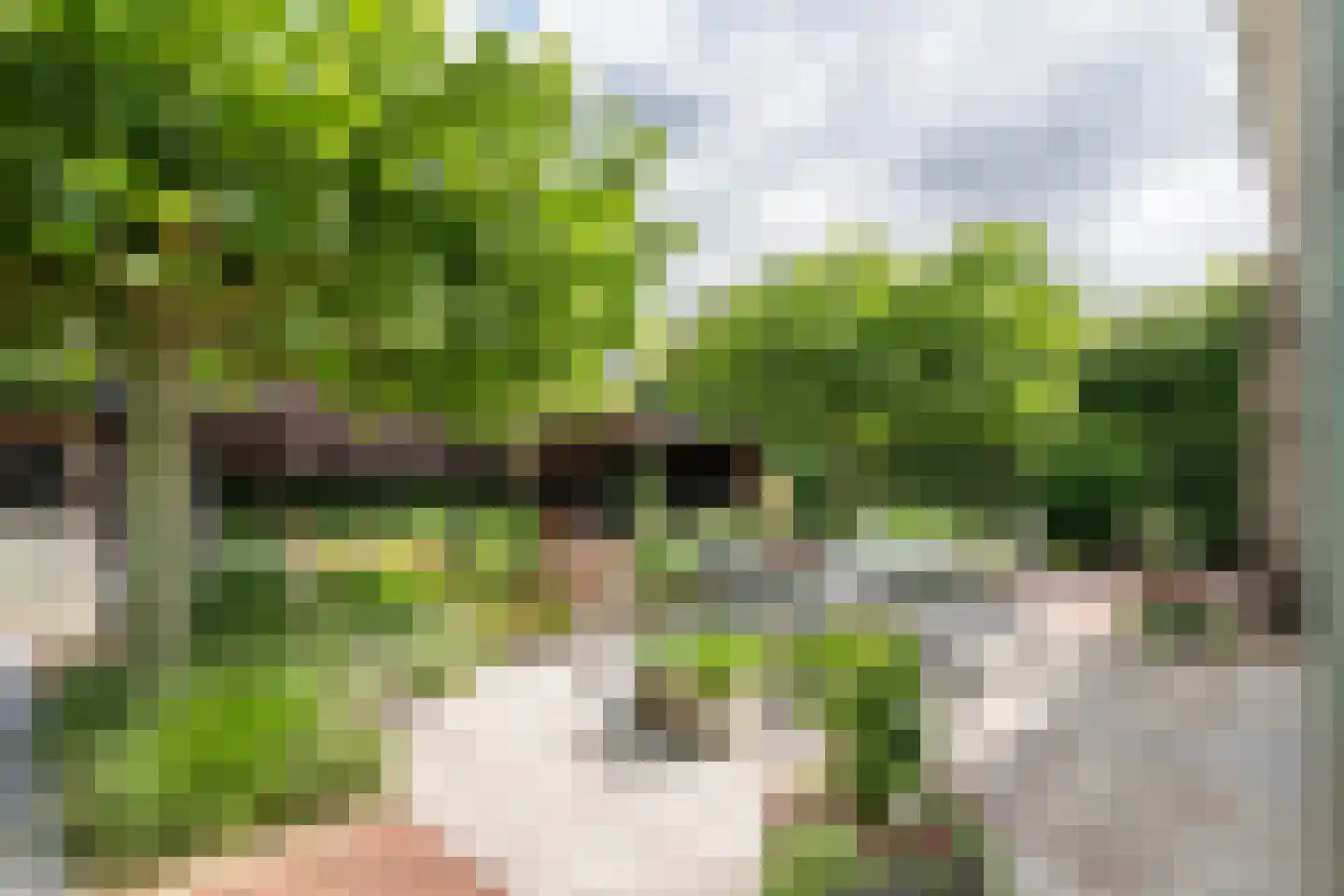 De Tolboom 15 Afferden thumbnail 56