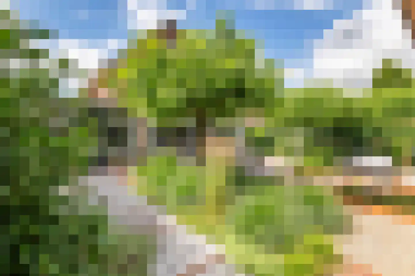 De Tolboom 15 Afferden thumbnail 58