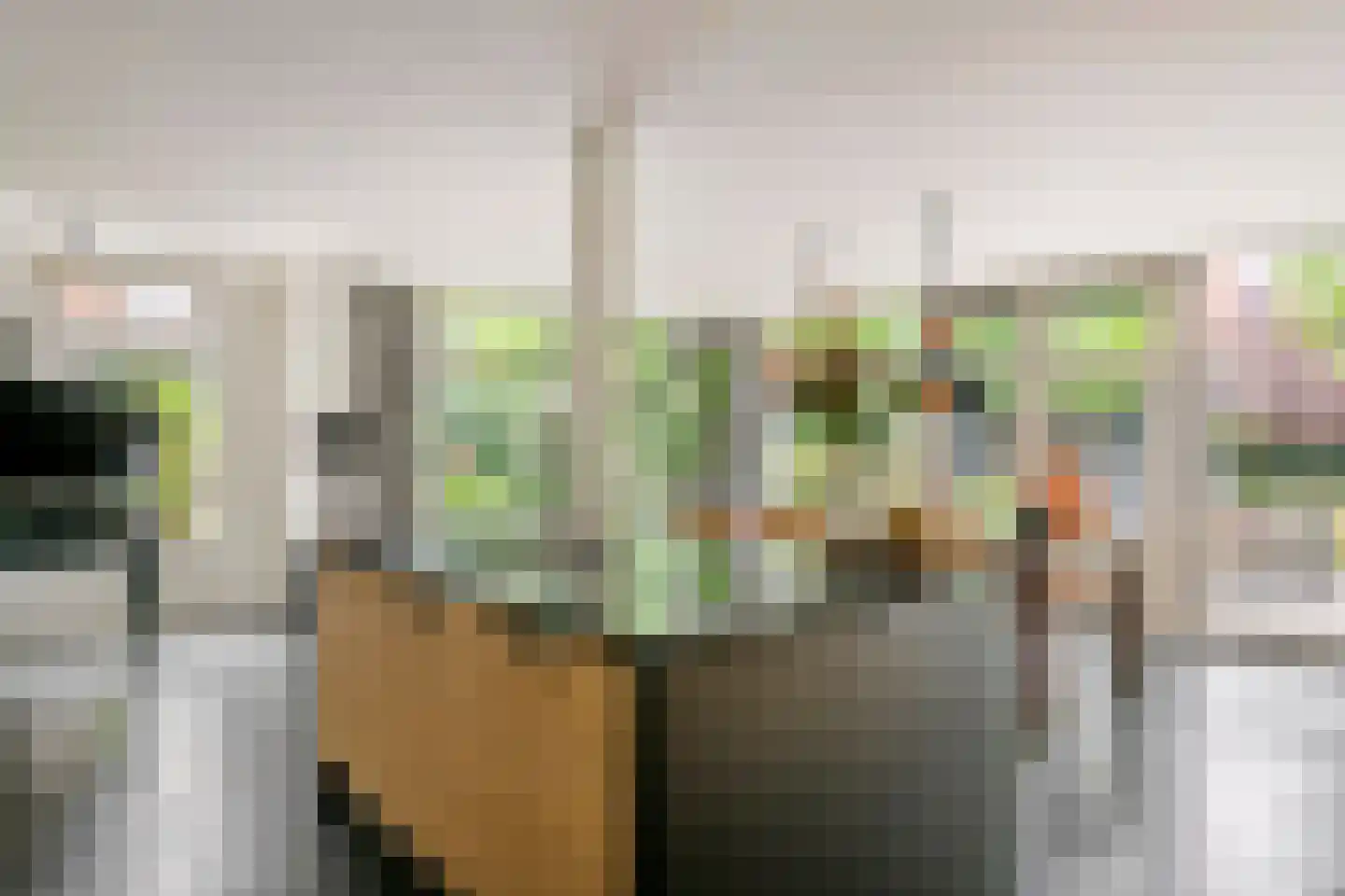 De Tolboom 15 Afferden thumbnail 6
