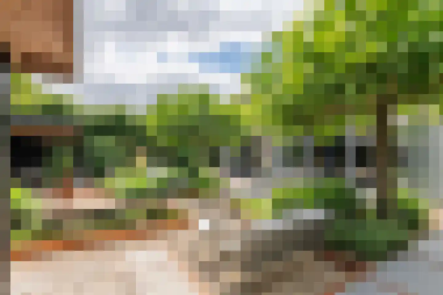 De Tolboom 15 Afferden thumbnail 60