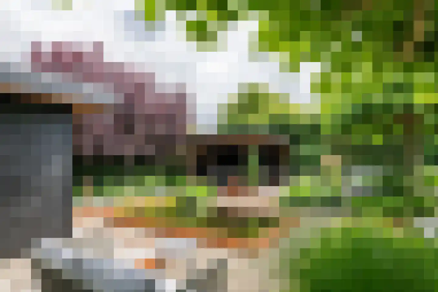 De Tolboom 15 Afferden thumbnail 61