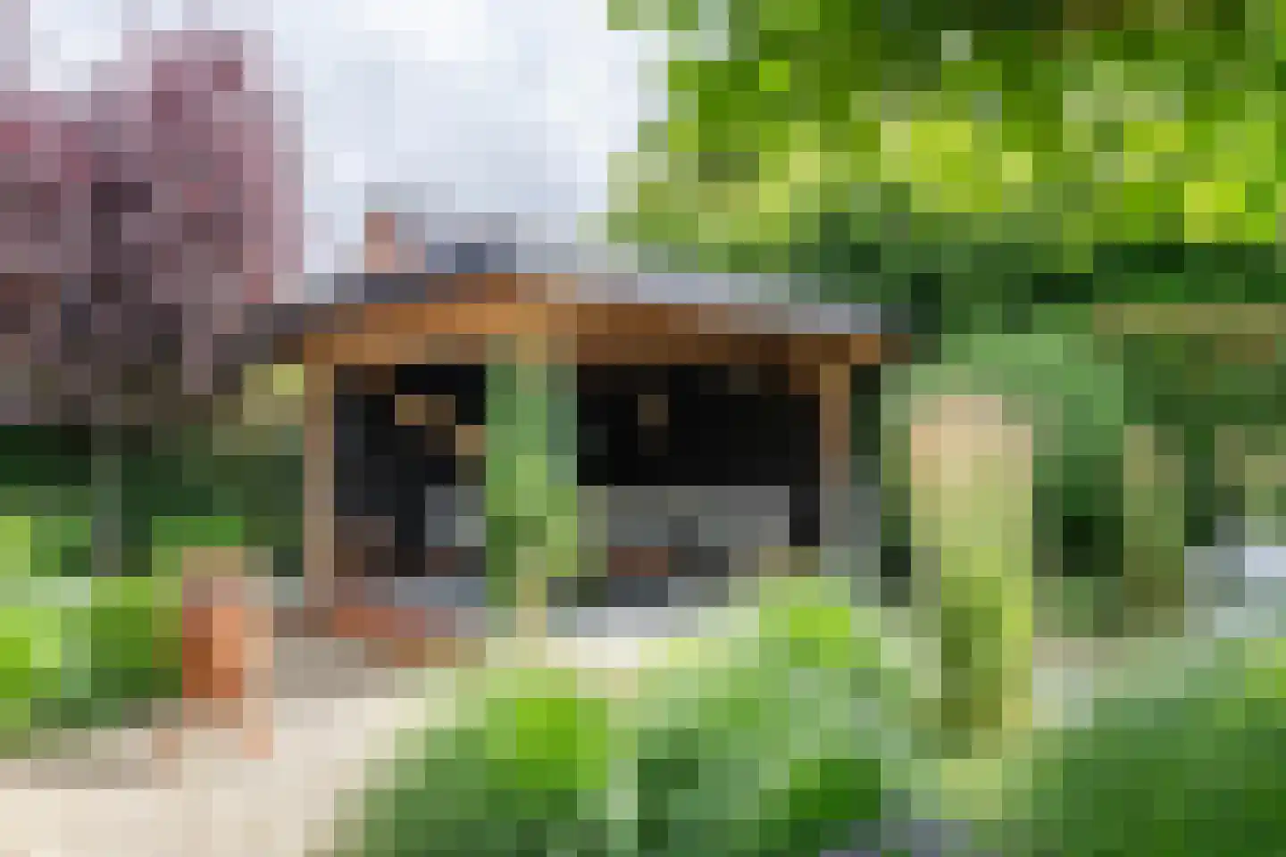 De Tolboom 15 Afferden thumbnail 62