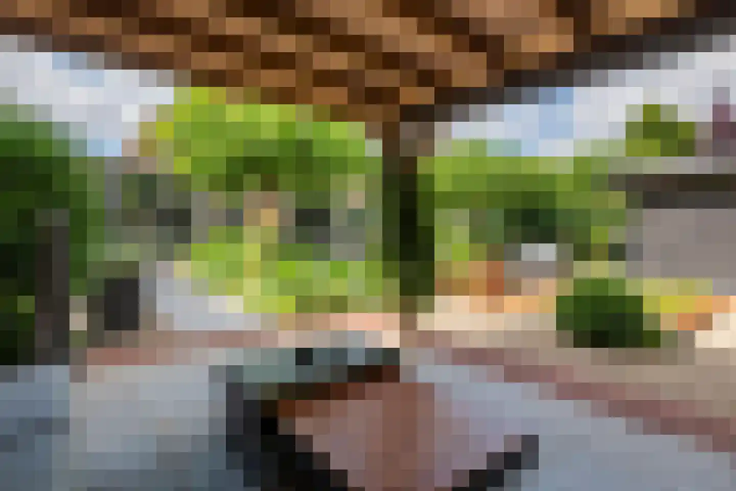 De Tolboom 15 Afferden thumbnail 63