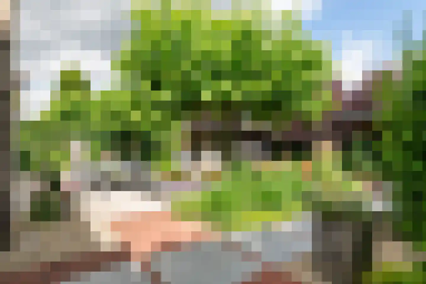 De Tolboom 15 Afferden thumbnail 64