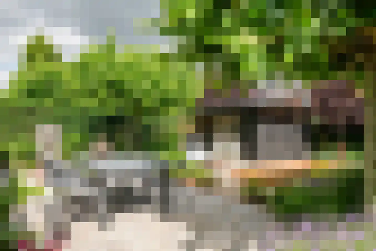 De Tolboom 15 Afferden thumbnail 65