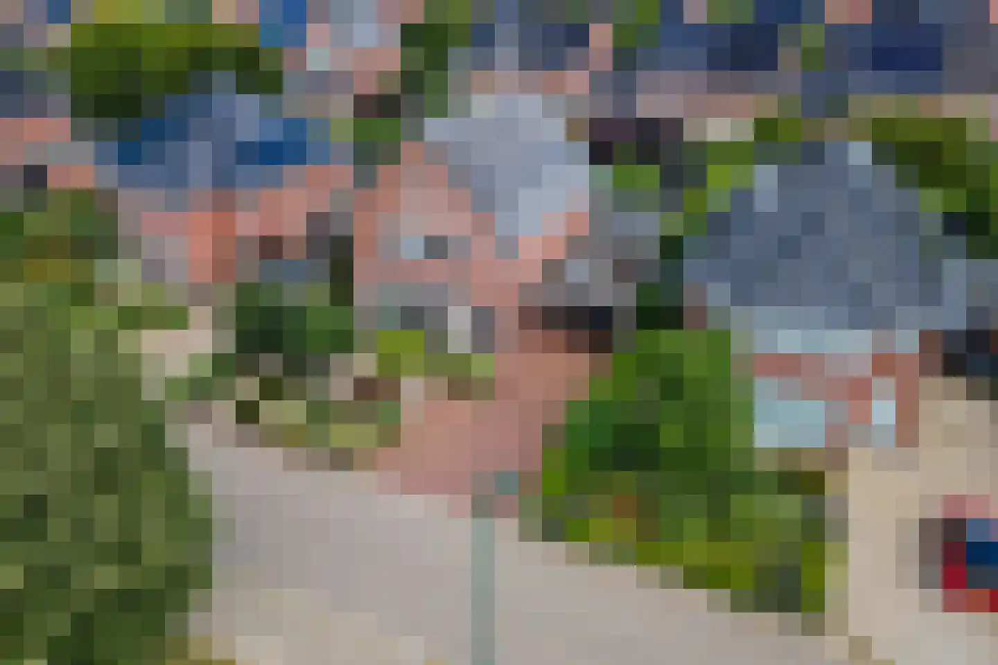De Tolboom 15 Afferden thumbnail 69