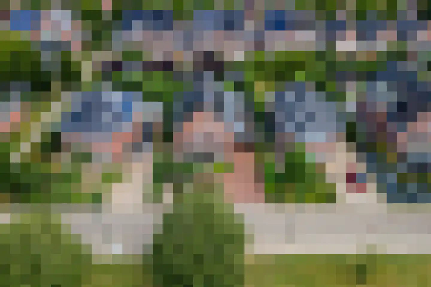 De Tolboom 15 Afferden thumbnail 70
