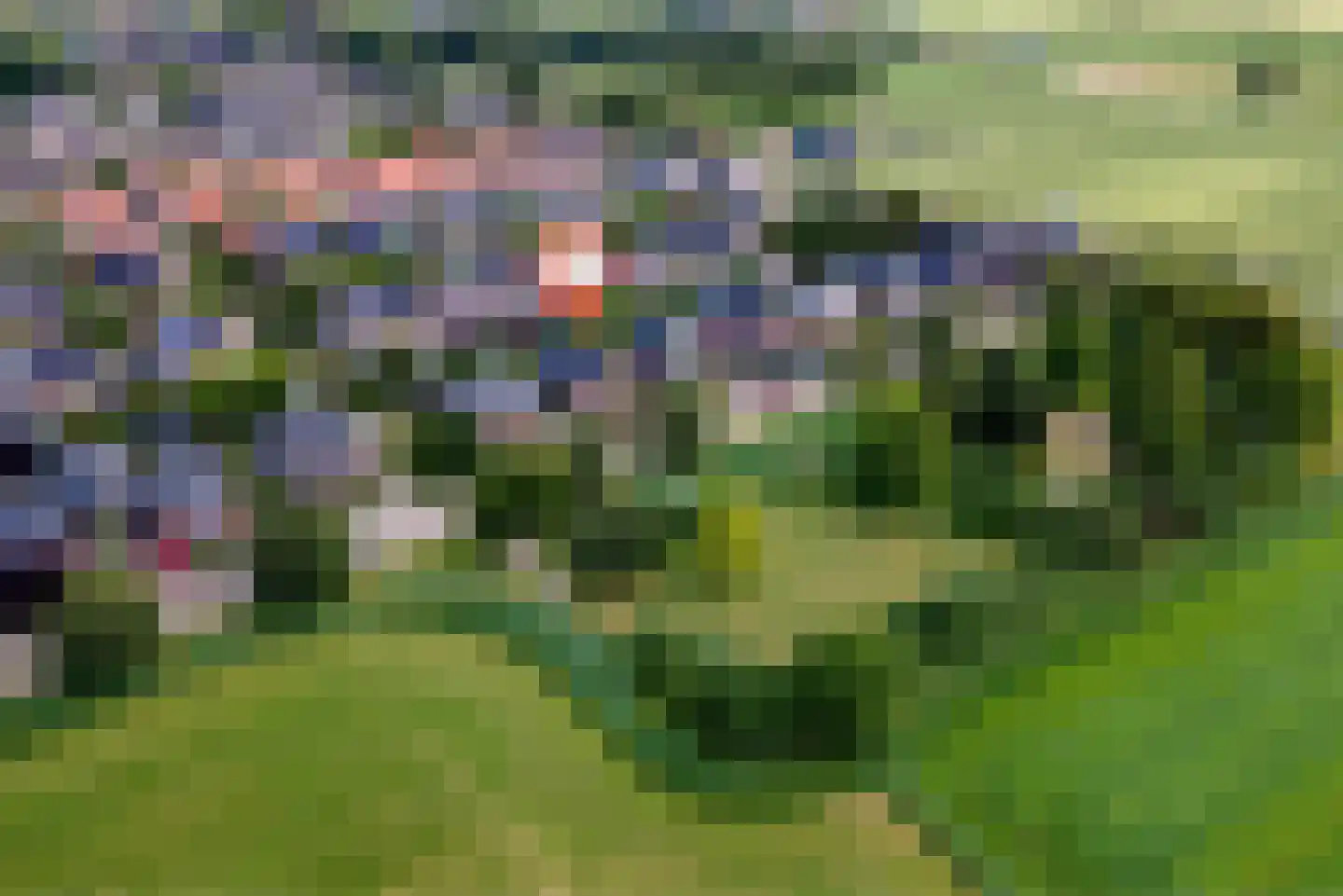 De Tolboom 15 Afferden thumbnail 72