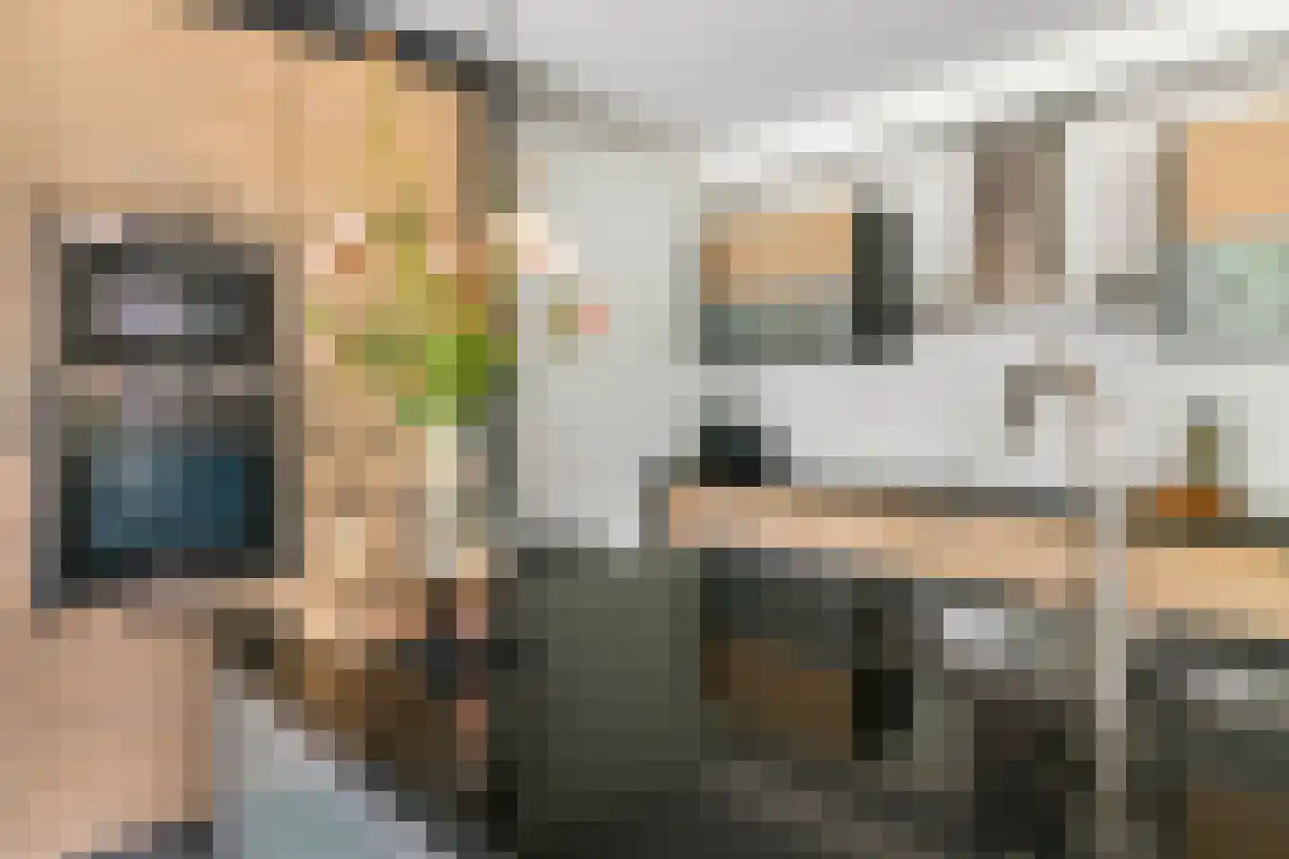 De Tolboom 15 Afferden thumbnail 8