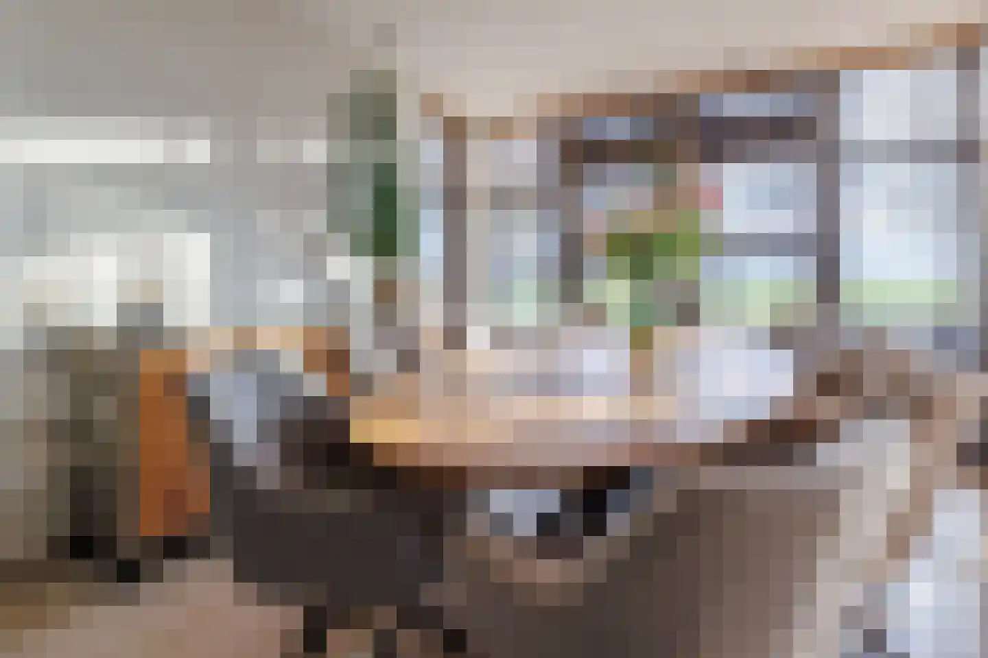 De Tolboom 19 Afferden thumbnail 23
