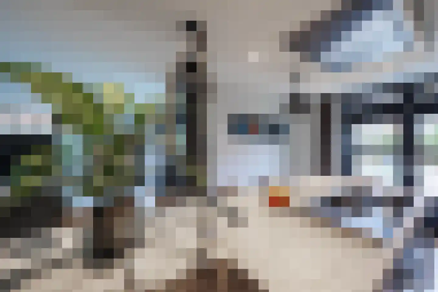De Tolboom 19 Afferden thumbnail 28