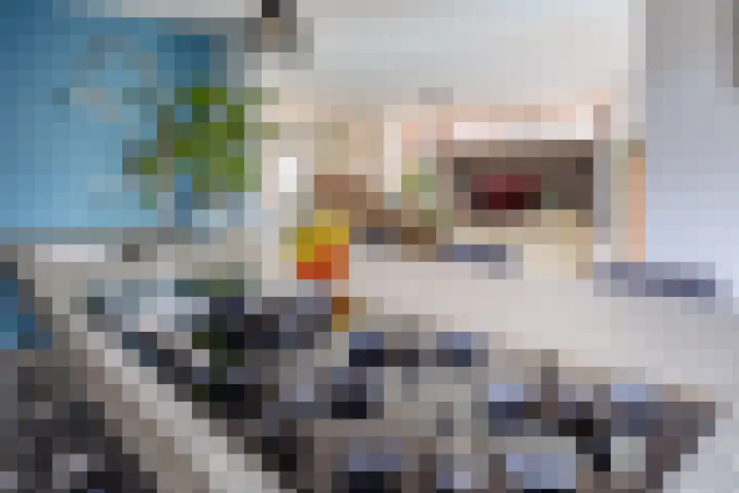 De Tolboom 19 Afferden thumbnail 29