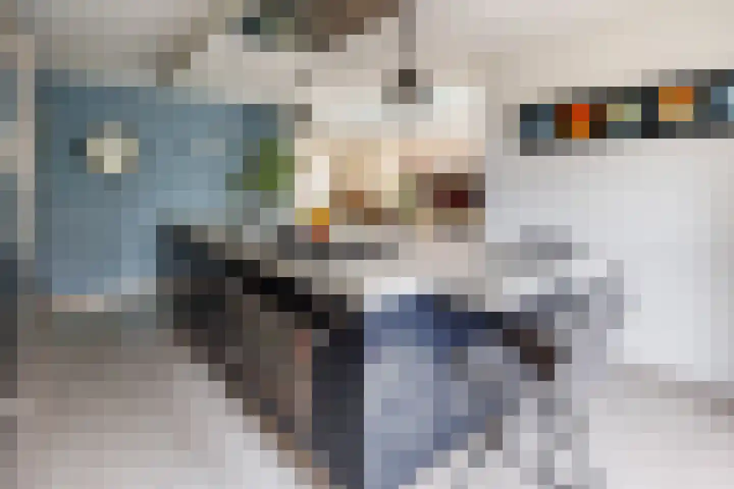 De Tolboom 19 Afferden thumbnail 30