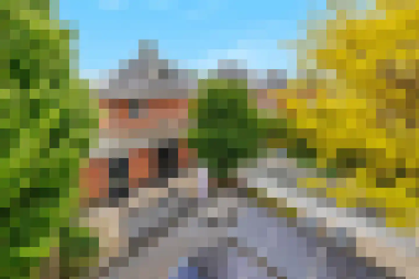 De Tolboom 19 Afferden thumbnail 6