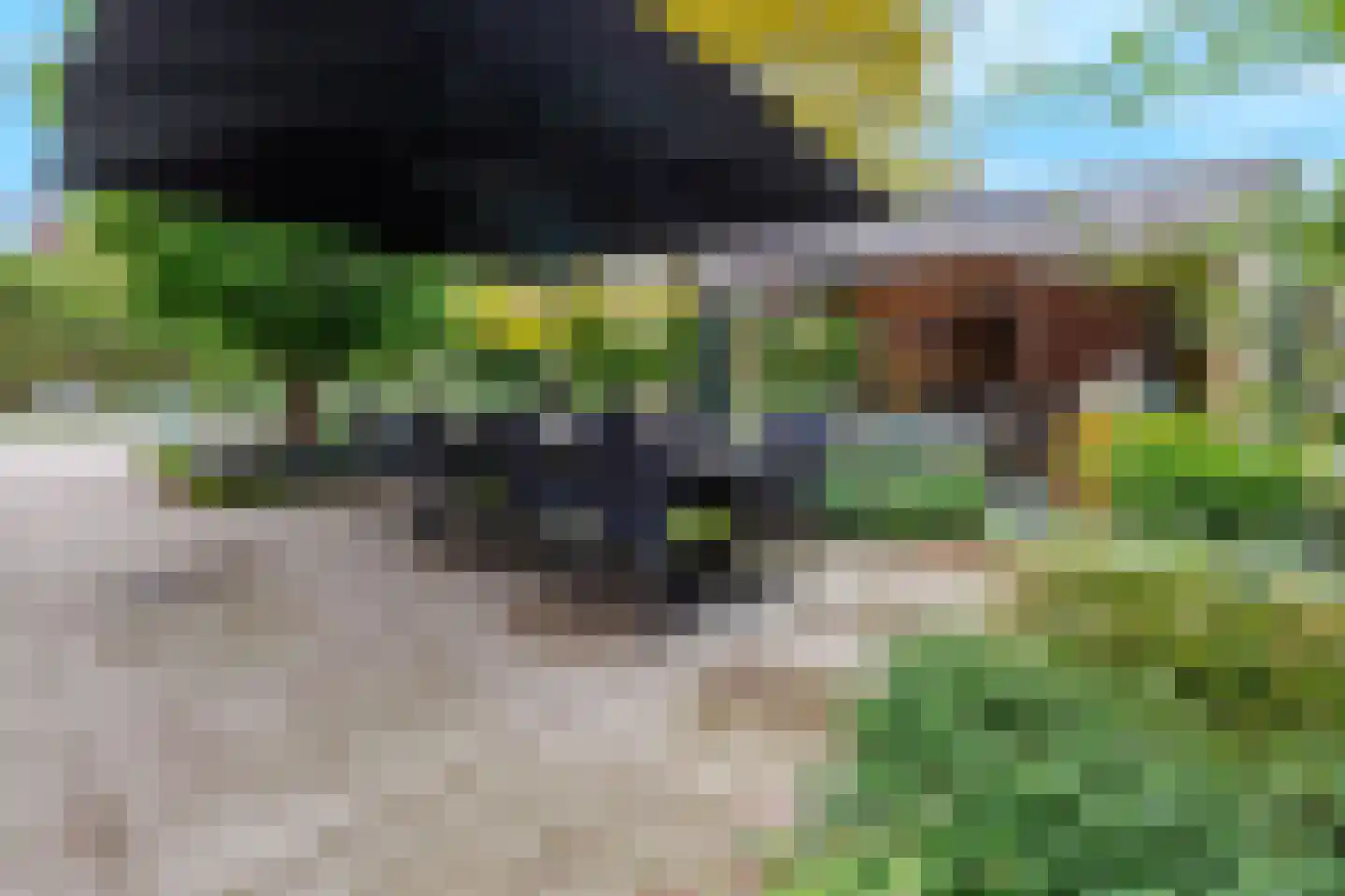 De Tolboom 19 Afferden thumbnail 60